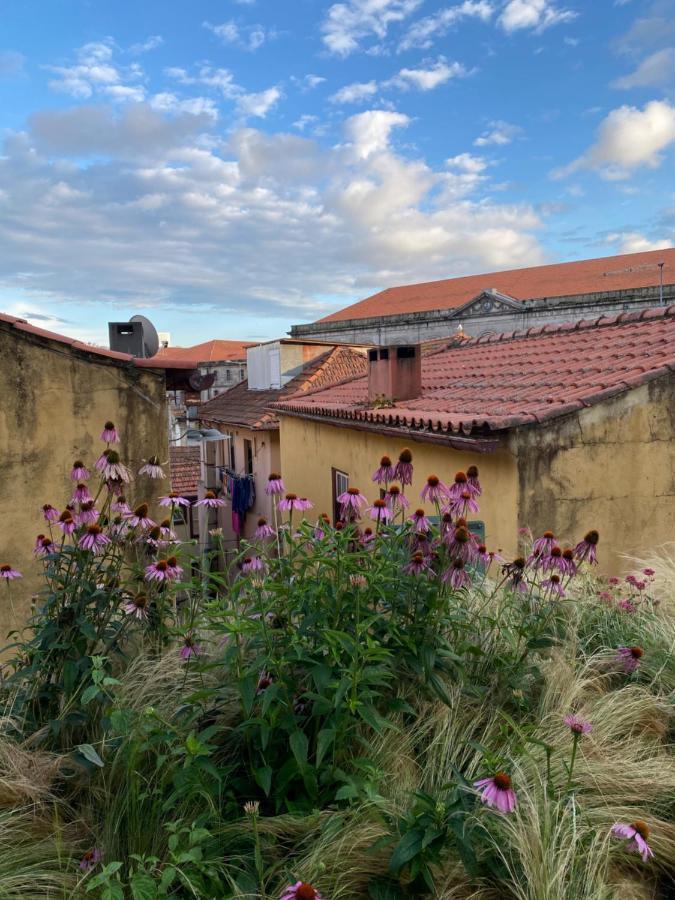 Ferienwohnung My Little Porto - Charming House In Miragaia, Porto Exterior foto